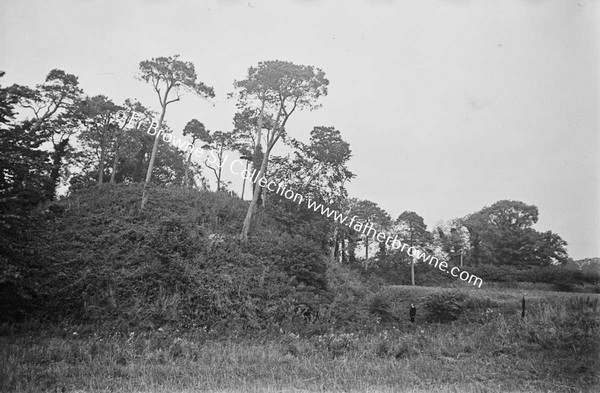 OLD CEMETERY